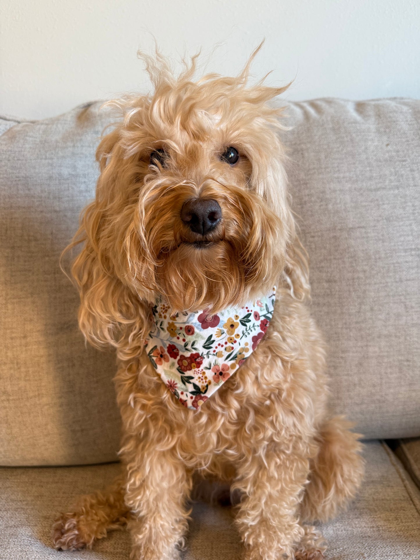 Wildwood Floral Dog Bandana 🌿🌺