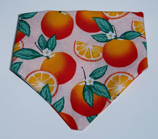 Citrus Bloom Dog Bandana 🍊🌿