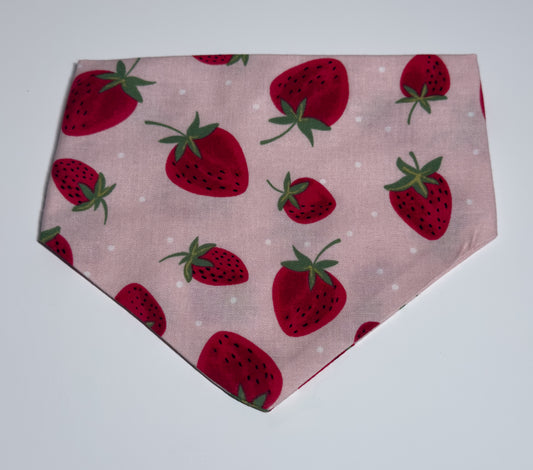 Berry Sweet Dog Bandana 🍓✨